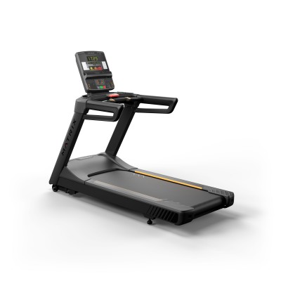 Matrix Fitness Matrix Fitness Беговая дорожка Endurance с консолью GT LED