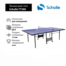 Теннисный стол Scholle TT300